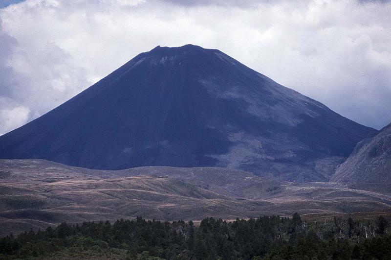 WT 0200 022-34 New Zealand.jpg